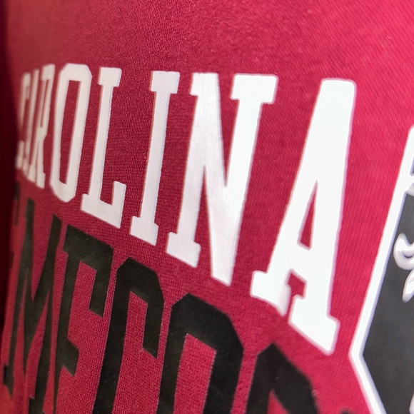 🐔🏟️ University of South Carolina Gamecocks Marquee Stadium Hoodie 🏟️🐓 - Picture 10 of 12